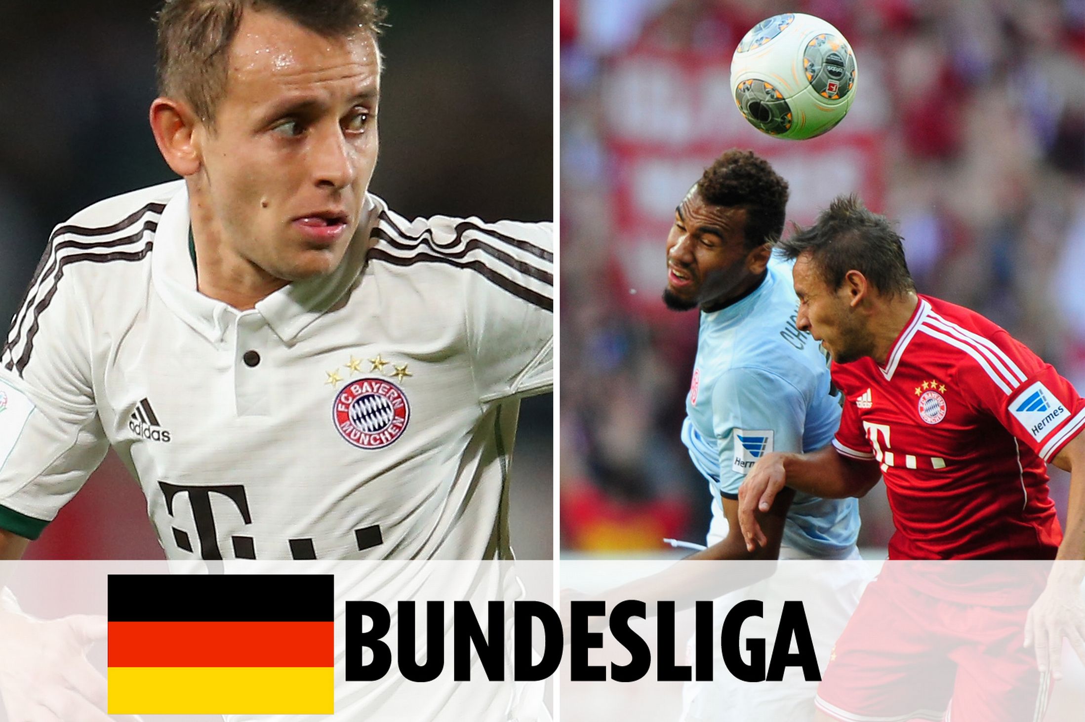 骑士欺负顶 骑士欺负顶