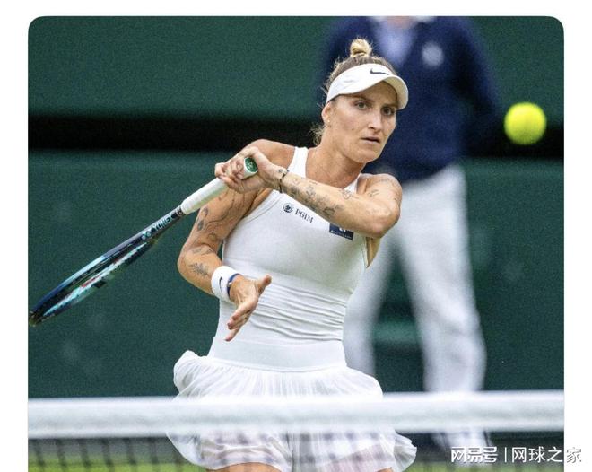 晋级四强的 晋级四强的